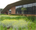 Green Roof (souce: Insite Group)